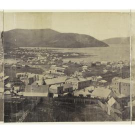 Eleven-part panorama of Dunedin [part 5 of 11]