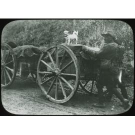 Australians returning from the trenches with their mascot