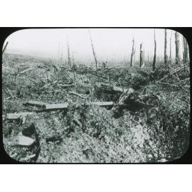 German barbed wire entanglements