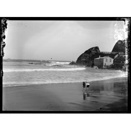 St Clair Salt Water Pool