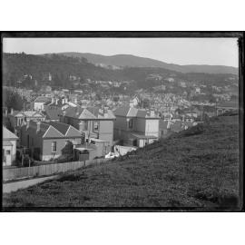 Dunedin north, looking towards Flagstaff