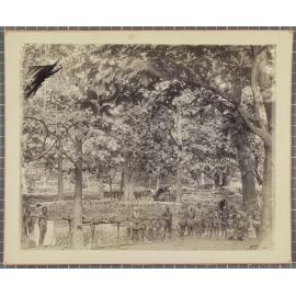 Ambrym, New Hebrides [Vanuatu]