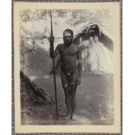 Auroa, New Hebrides [Vanuatu]