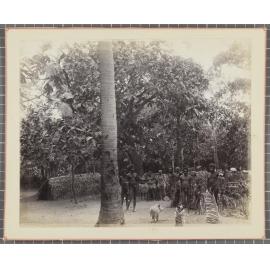 Ambrym, New Hebrides [Vanuatu]