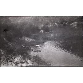 Bathers, Beaumont