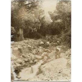 Man beside a West Coast stream
