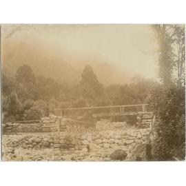 Couple in a horse-drawn buggy