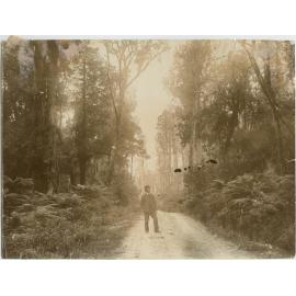 Man standing on a bush road