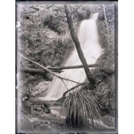 Glimpse of Fairyland