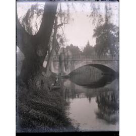 Rowing on the Avon, Christchurch