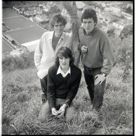 The Verlaines