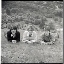 The Verlaines