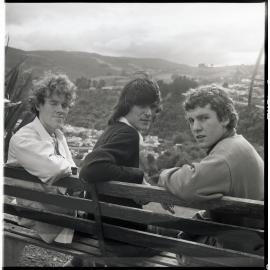 The Verlaines