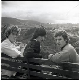 The Verlaines
