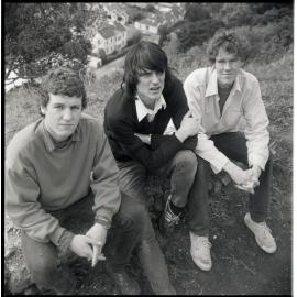 The Verlaines