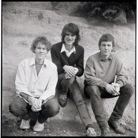 The Verlaines
