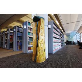 Te Aka a Tāwhaki, University of Otago Library