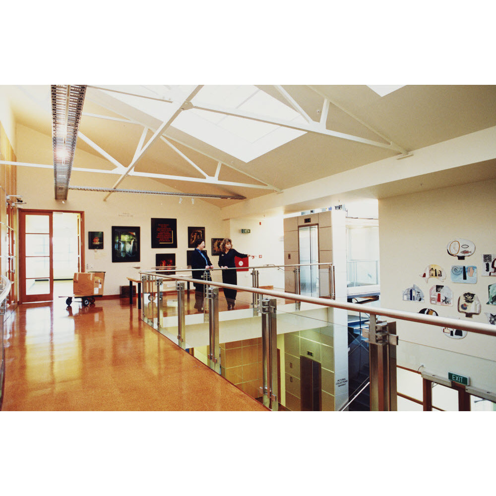Hocken Collections : Records