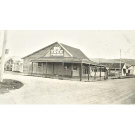 P.H. Martin's store at Ahaura