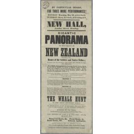 "Gigantic Panorama of the Colony of New Zealand"