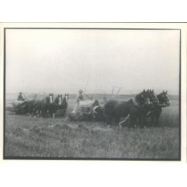 Crookston