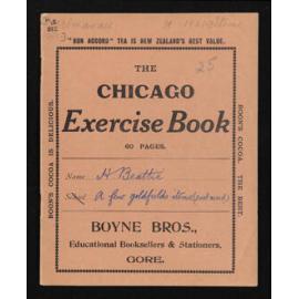 Notebook concerning goldfield information