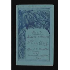 Notebook entitled, 'Miscellaneous writings; Maori and ancient history, vol 3'