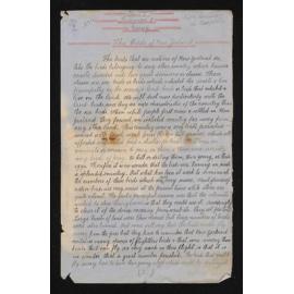 Essay entitled, 'Birds of New Zealand'