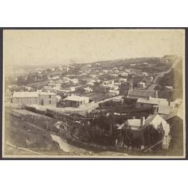 The Glen near Dunedin