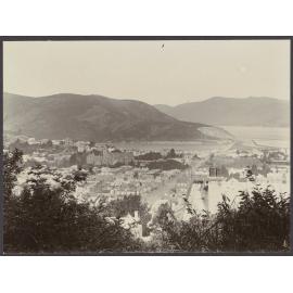 North Dunedin