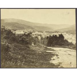 North Dunedin
