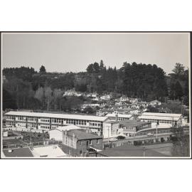 Dunedin North Intermediate School