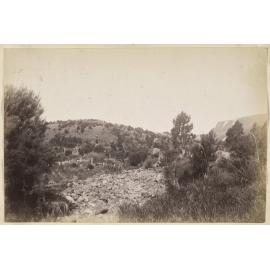 A corner on Whare Flat