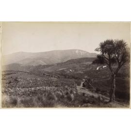 The Chalky Cliff Range from Whare Flat