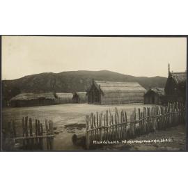 Maori Whares, Whakarewarewa