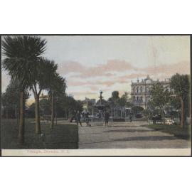 Triangle, Dunedin, N.Z.