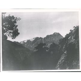 Rotten Tommy from the Hermitage