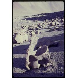Sculptures formed by weather and wind-driven sand