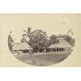 Houses and Fijians
