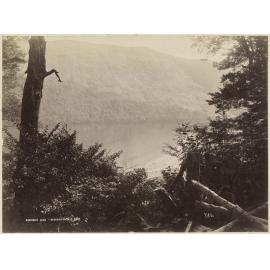 Diamond Lake, Wakatipu N.Z.