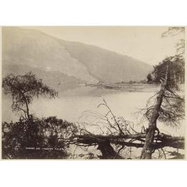 Diamond Lake, Wakatipu N.Z.