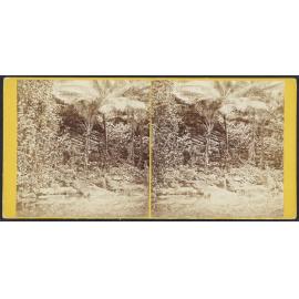 Ancient Ruins near Metaleine Harbour, Bornabie [Pohnpei], Caroline Group