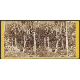 Figure at Makira, San Christoval [Christobal], Solomon Group