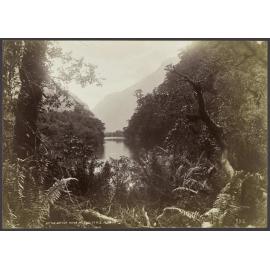 On the Arthur River, Milford Sound N.Z.