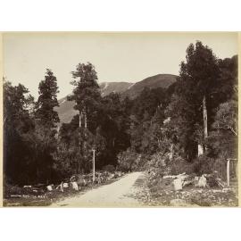 Hokitika Road N.Z.