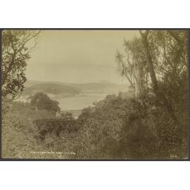 Dunedin from Silver-Acres N.Z.
