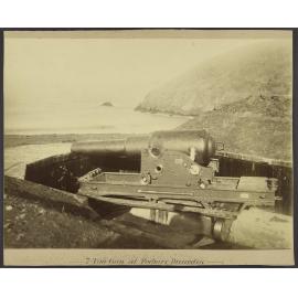 7-Ton Gun at Forbury, Dunedin