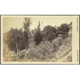 View from carriage drive