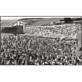 Waikouaiti Races