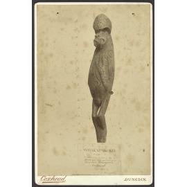 Waka tūpāpaku (front view)